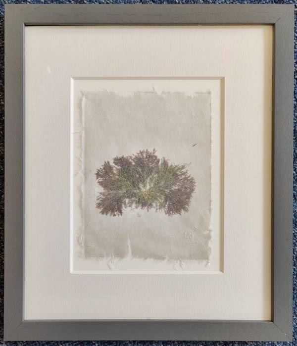 - on , Print by Richard Farrant, measuring 19 x 15 cm (H x W) framed at 35 x 30 cm £75